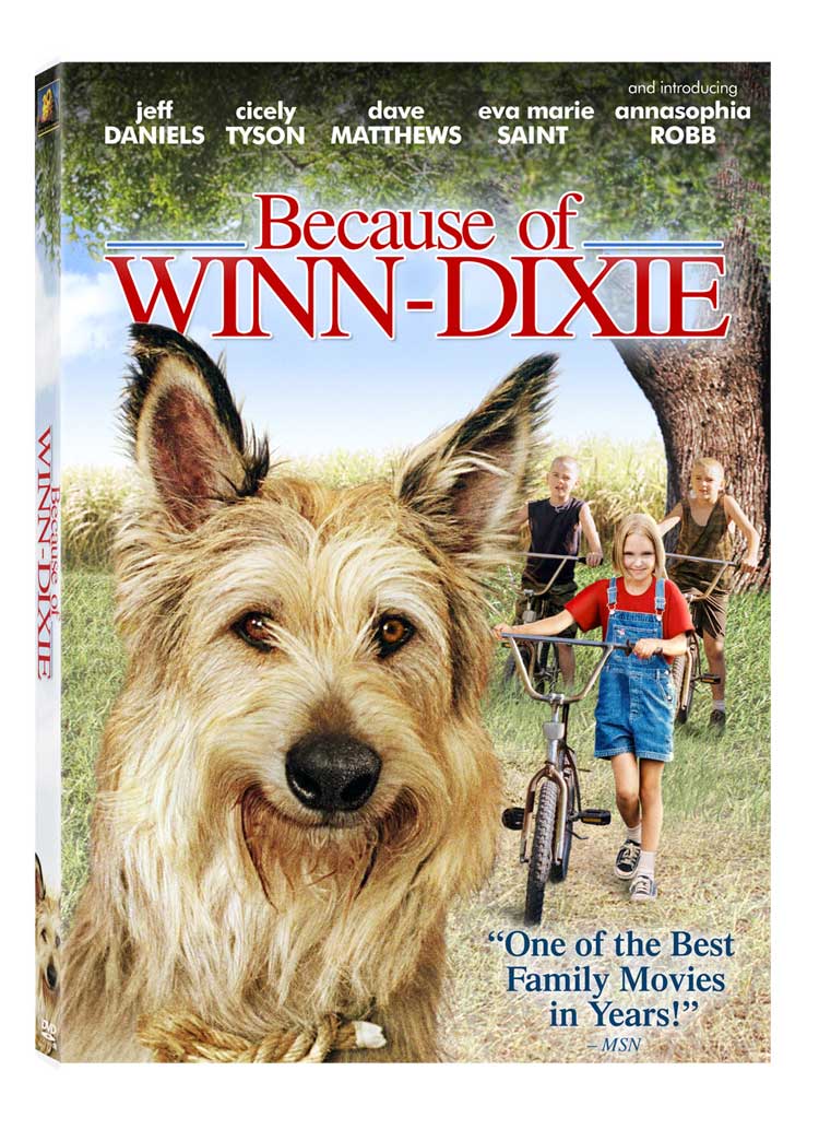 Because of Winn Dixie
